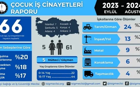 1 yılda 66 çocuk çalışırken hayatını kaybetti