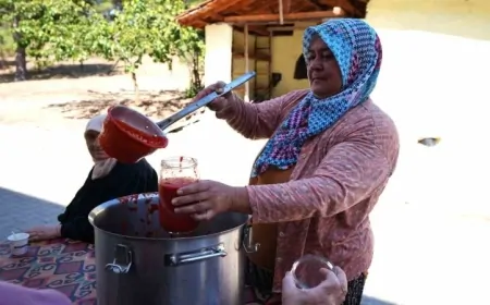 Salça makinesi domates üreticisinin yüzünü güldürdü
