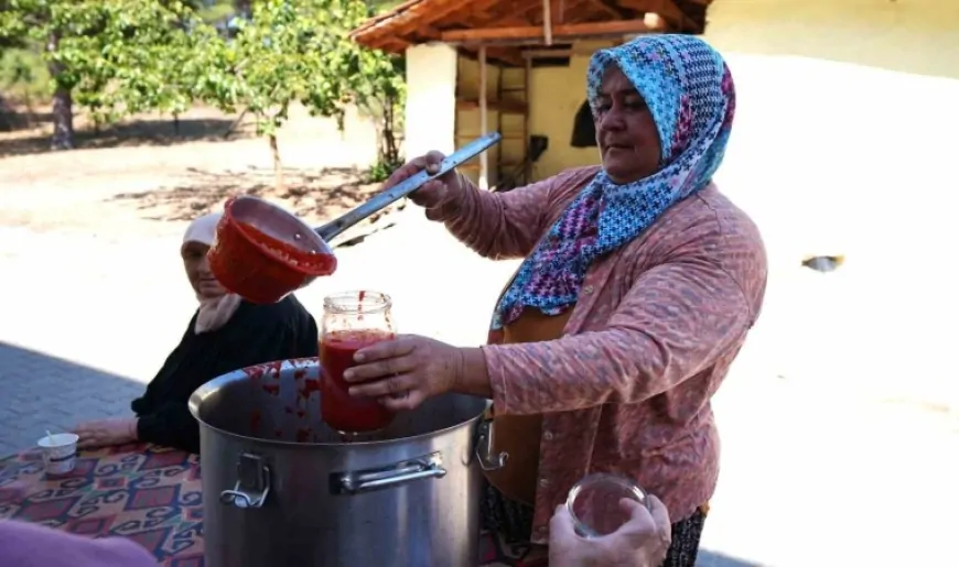 Salça makinesi domates üreticisinin yüzünü güldürdü