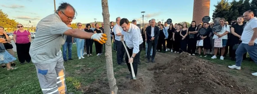 Çanakkale Belediyesi Narin ve tüm çocuklar için fidan dikti