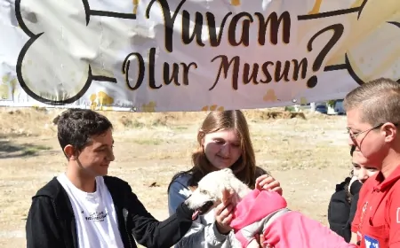 Çanakkale'de 4 Ekim Hayvanları Koruma Günü etkinlikler ile kutlandı