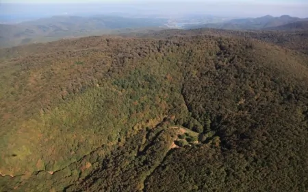 Çanakkale’de ormanlara giriş yasağı uzatıldı