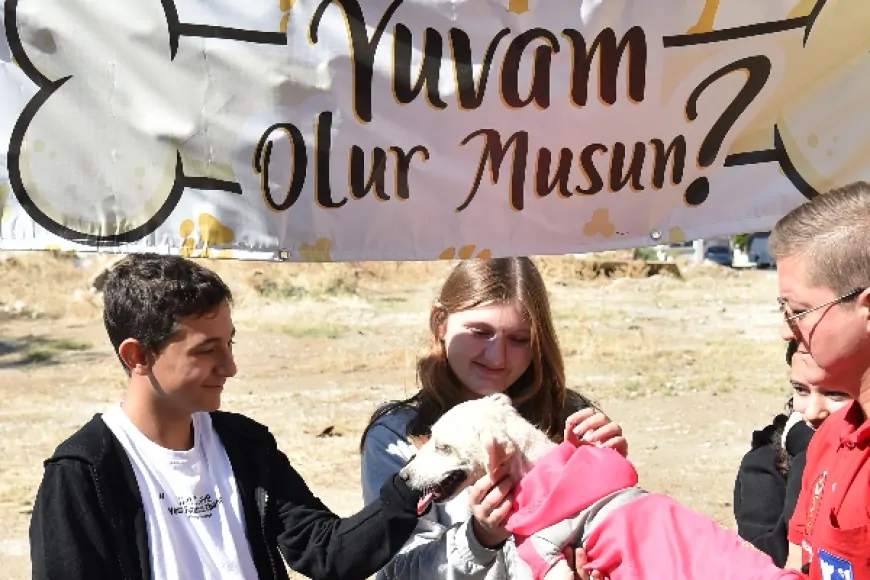 Çanakkale'de 4 Ekim Hayvanları Koruma Günü etkinlikler ile kutlandı