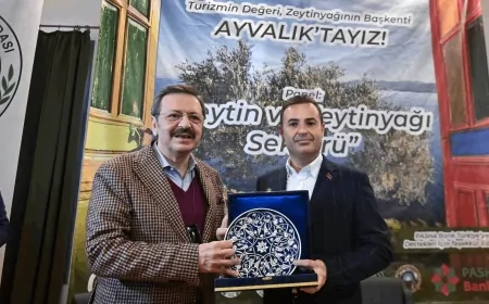 Akın: Balıkesir zeytinini dünyaya tanıtacağız!