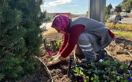 Çanakkale'de seralarımızda ürettilen bitkiler kenti yeşillendirmeye devam ediyor