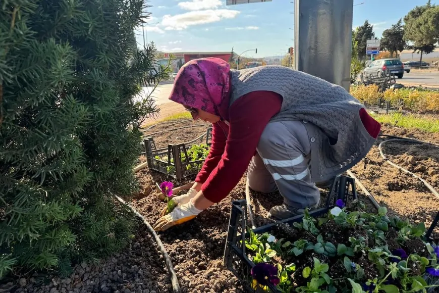 Çanakkale'de seralarımızda ürettilen bitkiler kenti yeşillendirmeye devam ediyor