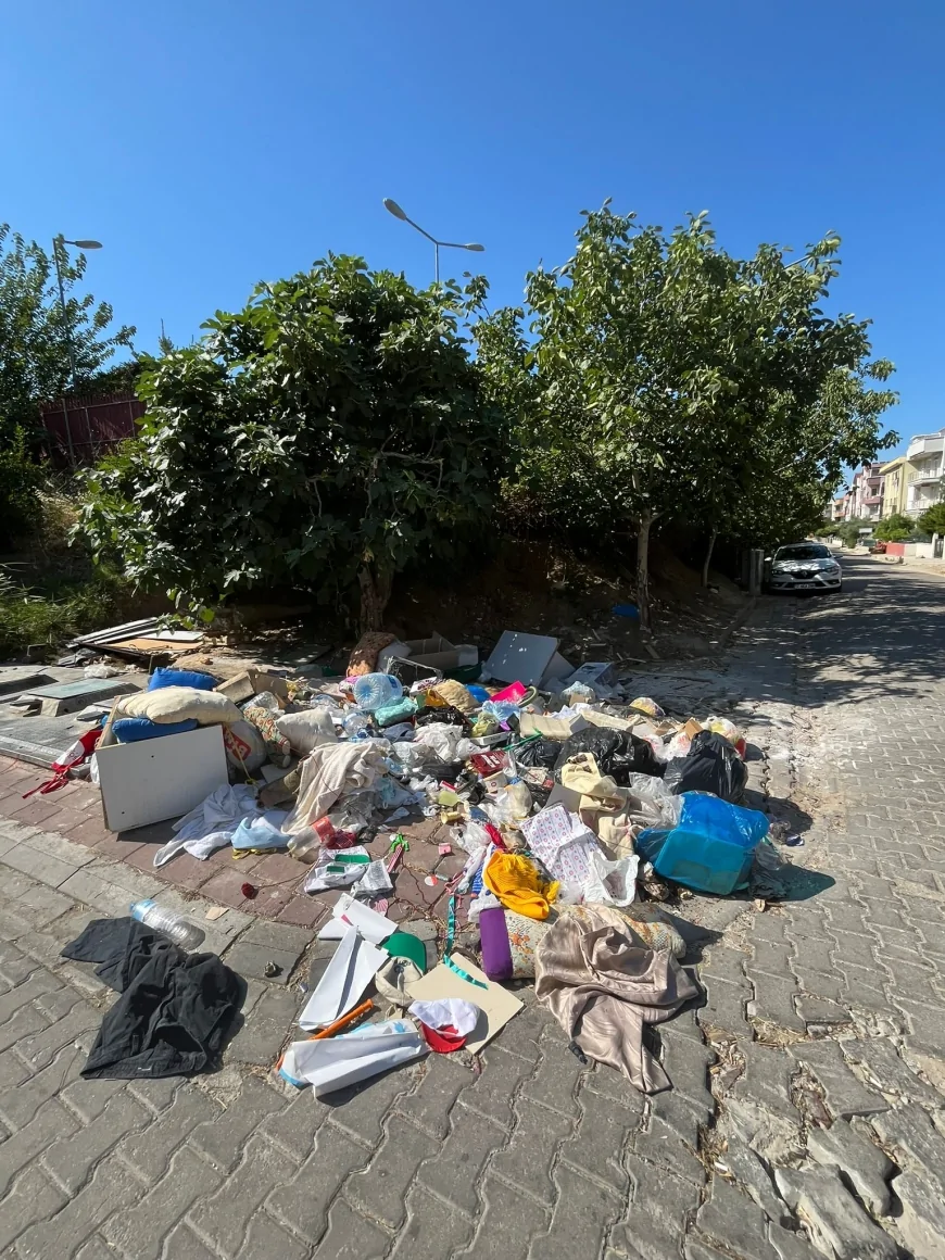 Çanakkale Çürüyor: Çöpler Toplanmıyor, Yollar Bozuk, Denizler Kirli!