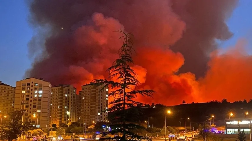 Bursa Yangınlarında Tahliye Sayısı Binleri Aştı: Hangi Mahalleler Etkilendi, Kaç Hane Boşaltıldı?