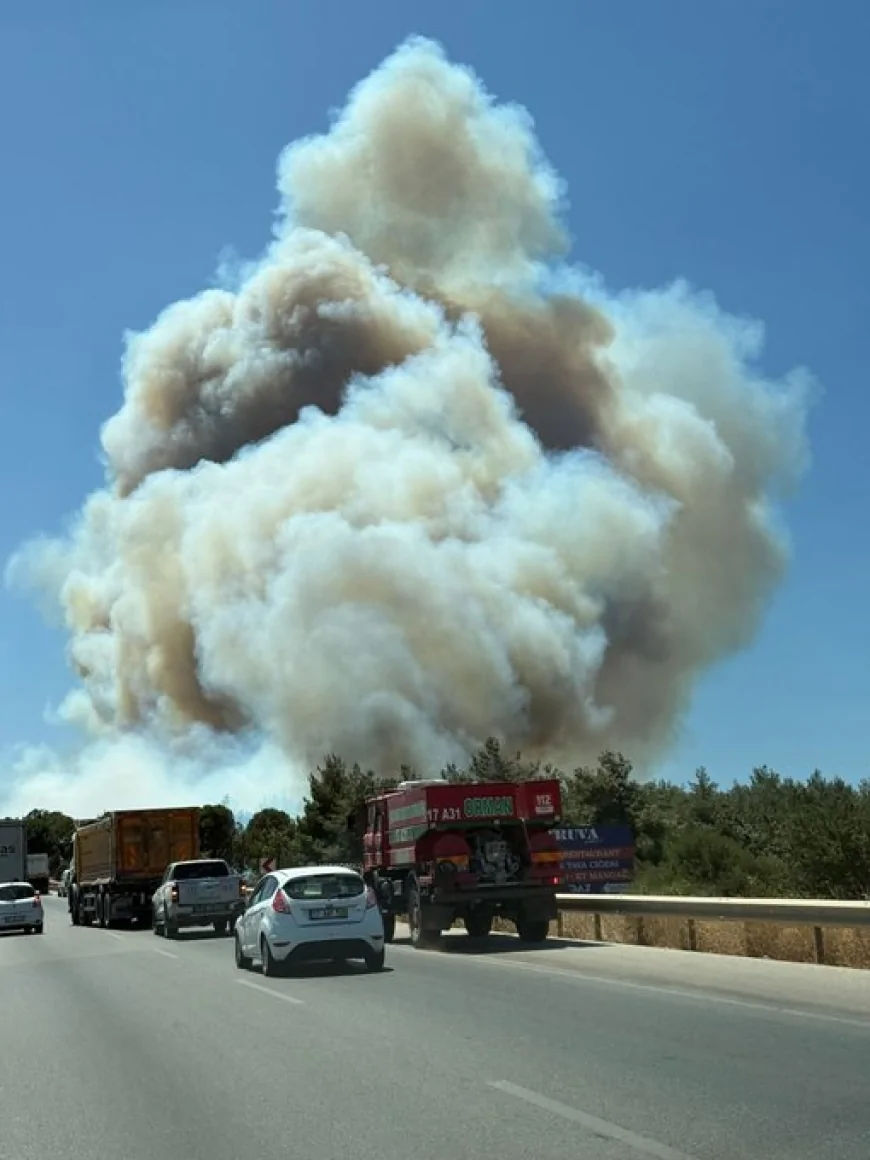 Çanakkale Dardanos’ta Yangın