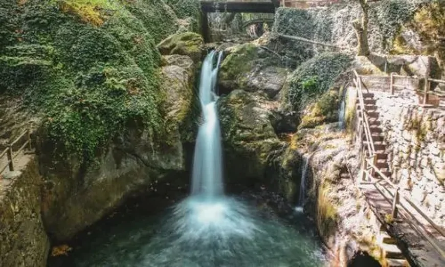 Doğayla iç içe yaşam