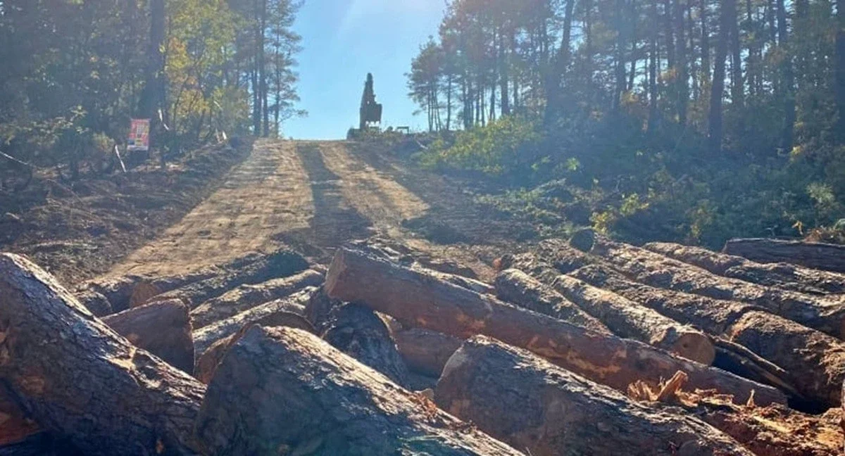 Kazdağları’nda Emsal Karar: Halilağa Bakır Madeni İşletme İzni İptal Edildi