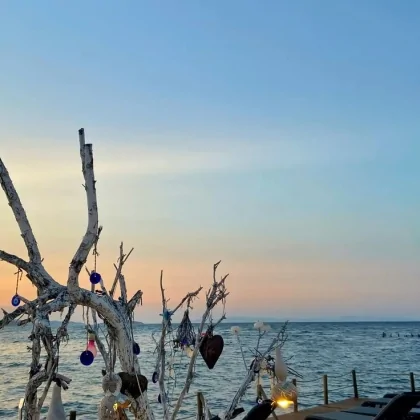 Urla